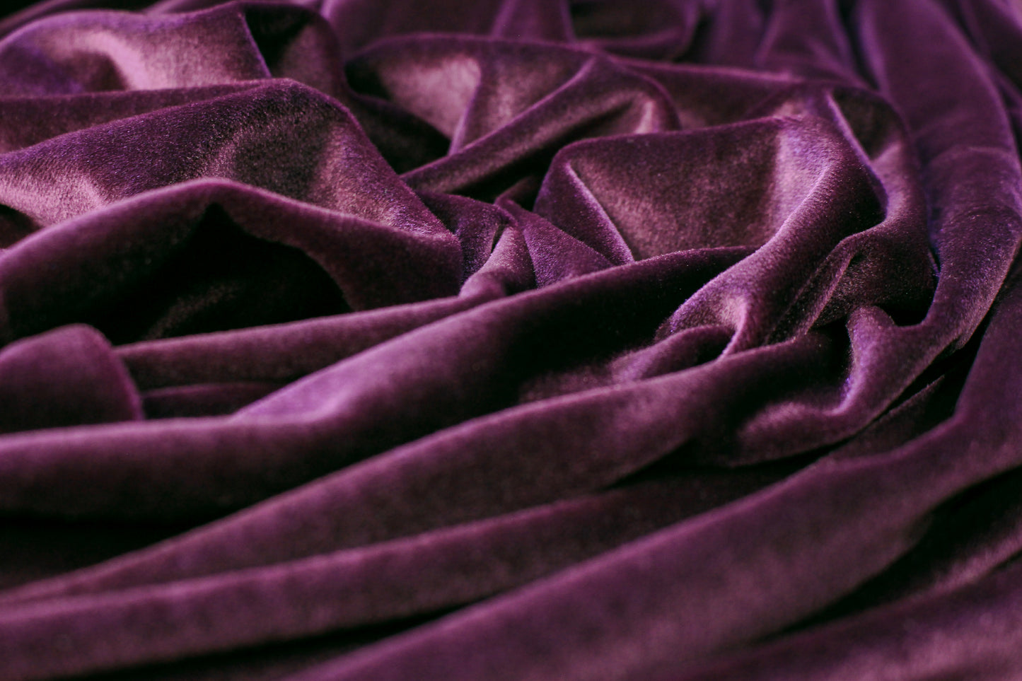 Elite velvet