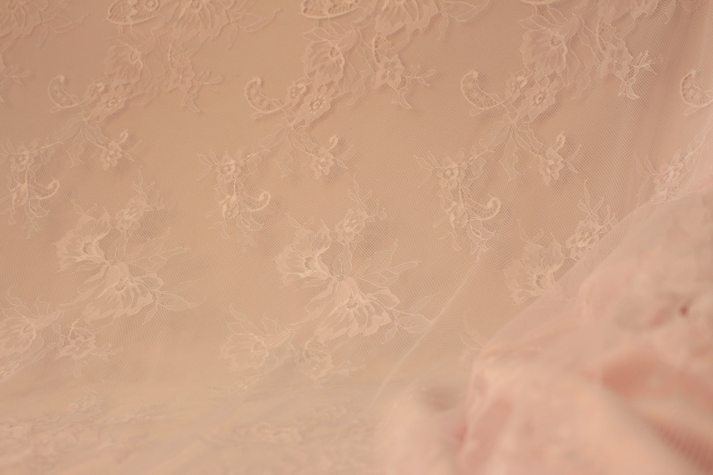 Royal lace